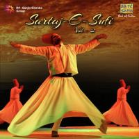 Damadam Mast Kalandar - Live (From "Sufi Soul - Abida Parveen") Abida Parveen Song Download Mp3
