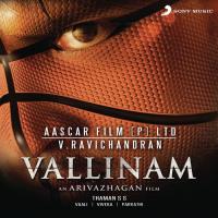 Vallinam Ss Thaman Feat. Palakkad Sreeram; Rahul Nambiar; Naveen Madhav & K.G. Ranjith Song Download Mp3