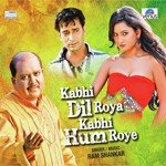 Kabhi Dil Roya Kabhi Hum Roye songs mp3