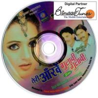 Teri Aankhen Gulabi Gulabi Haji Tasleem Aarif Song Download Mp3