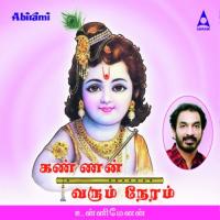 Krishna Un Unni Menon Song Download Mp3