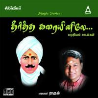 Thikku Teriyaadha Rahul Aggarwal Song Download Mp3