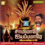 Saamimaare Ayyapamaare songs mp3