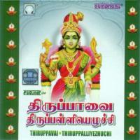 Thiruppavai Thiruppalliyezhuchi songs mp3