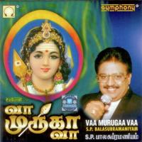 Arumugamai Irukinran S.P. Balasubrahmanyam Song Download Mp3