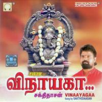 Vinaayagaa songs mp3