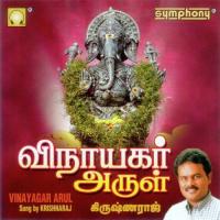 Vinayagar Arul songs mp3