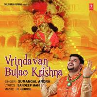 Vrindavan Bulao Krishna Sumangal Arora Song Download Mp3