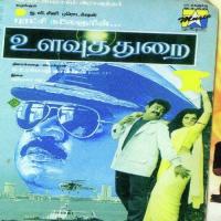 Meena Un Kannukulle K. S. Chithra Song Download Mp3
