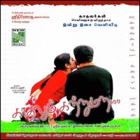Ennai Sutri Anuradha Sriram Song Download Mp3