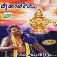 Swamiye songs mp3