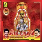 Sivasiva Endrida Krishnaraj Song Download Mp3