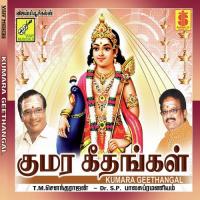 Sengthil Kadarkarai T.M. Soundarrajan Song Download Mp3