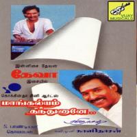 Maangalyam Thandhunaane songs mp3