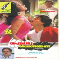 Azhagaana K. S. Chithra,S.P.B. Song Download Mp3
