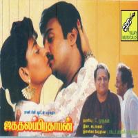 Pullimaane Pullimaane K. S. Chithra,S.P.B. Song Download Mp3