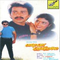 Vaa Vaa Anbe K. S. Chithra Song Download Mp3