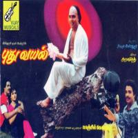 Pudhu Vayal (Ravi Varman) Swarnalatha,S.P.B. Song Download Mp3