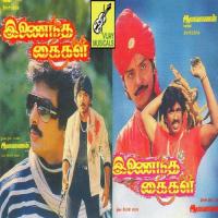 Chinna Poove Vidya,Deepan Chakravarthi Song Download Mp3