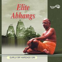 Gurubrahma Guruji Sri Haridass Giri Song Download Mp3