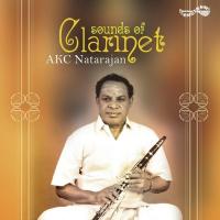 Sounds Of Clarinet A K C Natarajan songs mp3