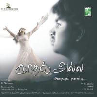 Kathal Alla Adhaiyumthaandi songs mp3