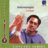 Nadaswaroopini Vol 1 songs mp3
