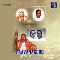 Paavanaguru K.G. Jayan Song Download Mp3