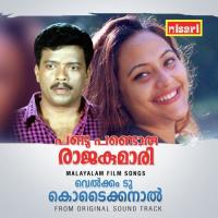 Pandu Pandoru Rajakumari songs mp3