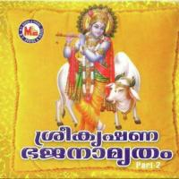 Sreekrishnabhajanamrithamvol 2 songs mp3