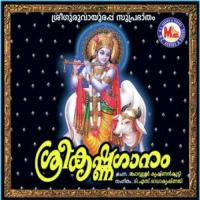 Sreekrishnaganam songs mp3