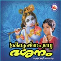 Sree Krishna Punya Darsanam songs mp3