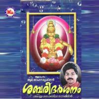 Swamithinthakathom R. Mohanakrishnan Song Download Mp3