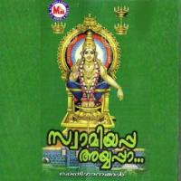 Swamiyappa Ayyappa songs mp3