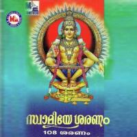 Swamiyesaranam songs mp3