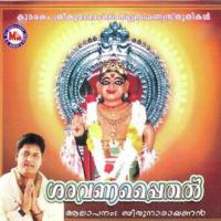 Saravanappaithal songs mp3