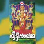 Veettinalamma songs mp3