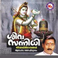 Brahmam Vannu Niranju Ganesh Sundaram,Corus Song Download Mp3