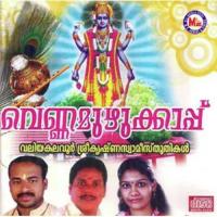 Thekkan Guruvayoorennariyappedum Sujith Krishnan Song Download Mp3
