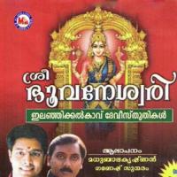 Sreebhuvaneswari songs mp3