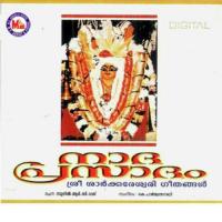 Sarvanandamayi Parthasarathy Song Download Mp3