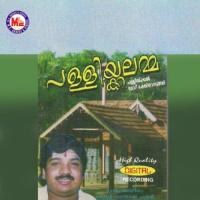 Pallikkalamma songs mp3