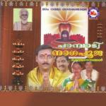 Pambadi Nagapooja songs mp3