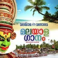 Thunjende Painkili Sreya Jayadeep Song Download Mp3