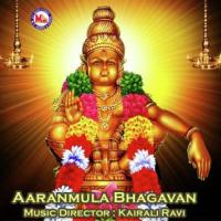 Paaridam Kaakkunna Anu V. Sudev,Chorus Song Download Mp3