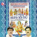 Parvathee Parvathee Viswanadh Song Download Mp3