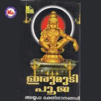 Irumudi Pooja songs mp3