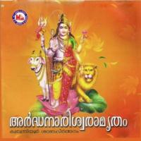 Ardhanareeswaramrutham songs mp3