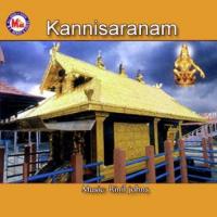 Pambathan Thamburaan Aswathi Vijayan Song Download Mp3