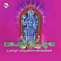 Ashttami Pooja songs mp3